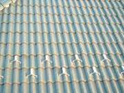 ����~�ߍH���E���O�Ǔh���H��